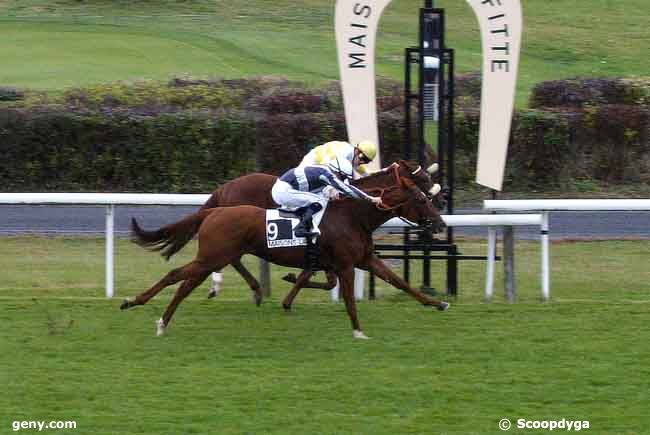 15/10/2008 - Maisons-Laffitte - Prix Armistice : Arrivée