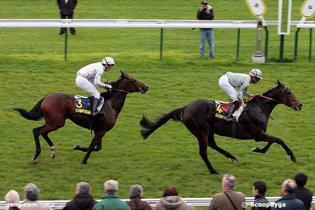 03/11/2010 - Compiègne - Prix des Amateurs : Ankunft