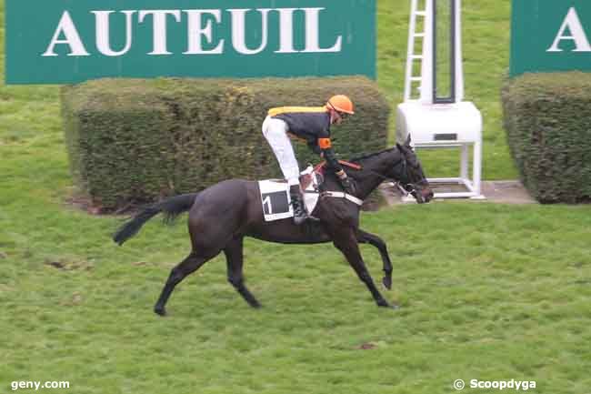 13/03/2011 - Auteuil - Prix Duc d'Anjou : Arrivée