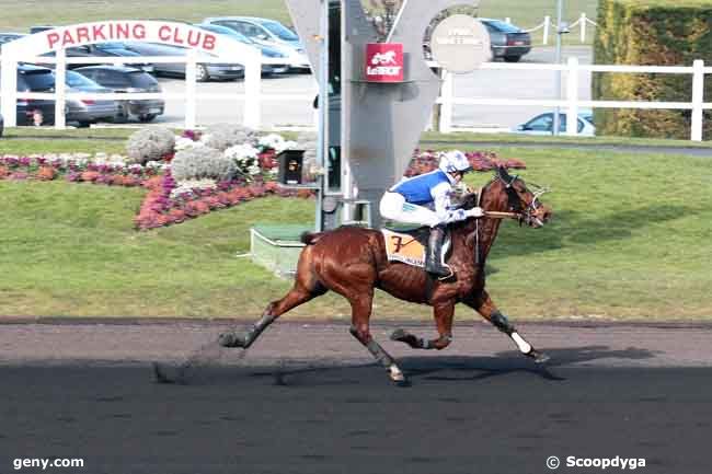 17/02/2013 - Vincennes - Prix de Pouilly-sur-Loire : Arrivée