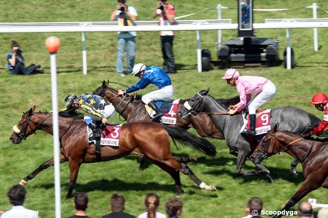 14/08/2013 - Clairefontaine-Deauville - Prix des Chèvrefeuilles (Prix Carrefour Market Tourgeville) : Ankunft