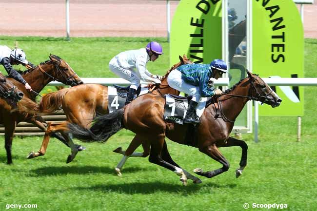 10/06/2014 - Nantes - Prix Yves Lalleman : Result