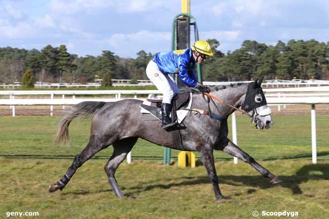 27/02/2015 - Fontainebleau - Prix de la Société des Courses du Pin : Arrivée