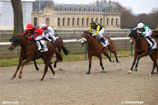 12/01/2019 - Chantilly - Prix de la Porte des Marchands : Result