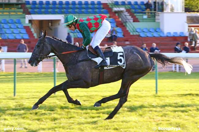 14/05/2019 - Compiègne - Prix de Brissac : Ankunft