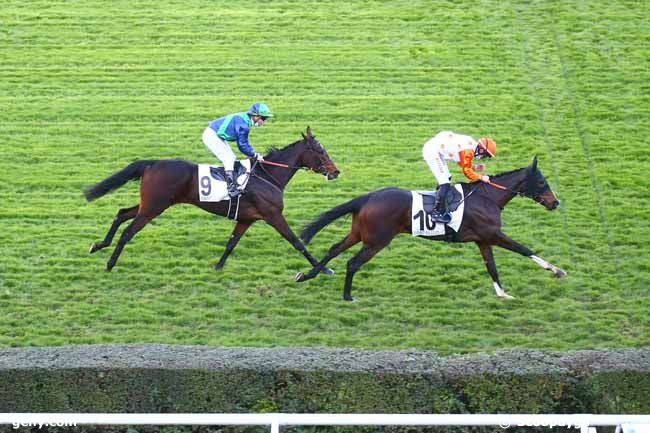 03/11/2020 - Saint-Cloud - Prix Poliglote : Arrivée