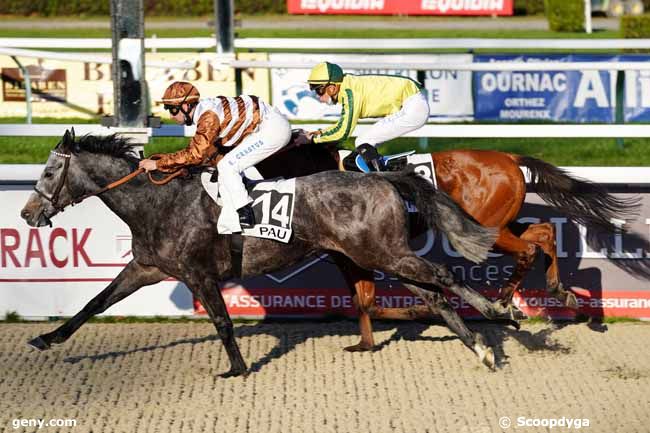 06/01/2021 - Pau - Prix de Montaner : Arrivée