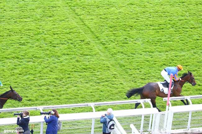 22/05/2021 - Auteuil - Prix d'Arles : Arrivée