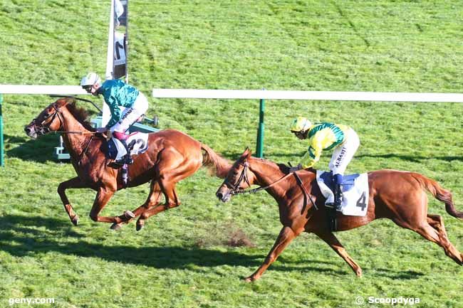 24/10/2021 - ParisLongchamp - Prix Royal-Oak : Arrivée