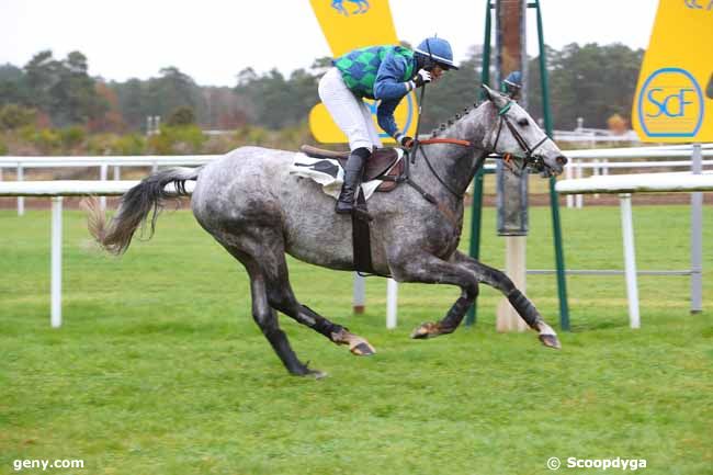 16/11/2021 - Fontainebleau - Prix Colonel Bernard Marlin : Ankunft