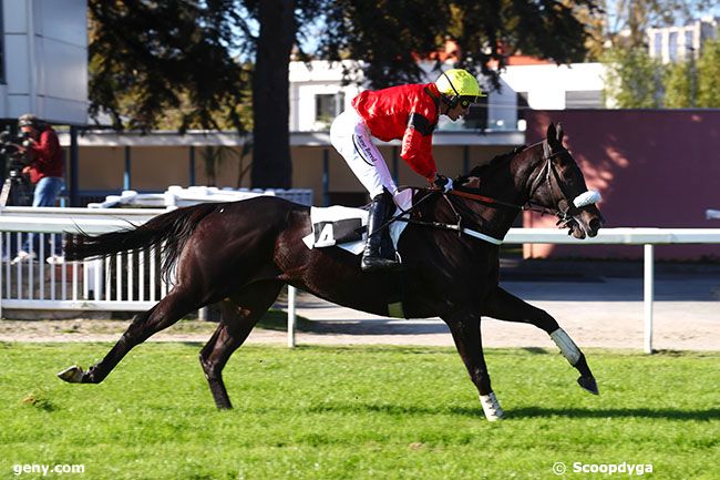 11/11/2022 - Toulouse - Prix de Bonnefoy : Arrivée