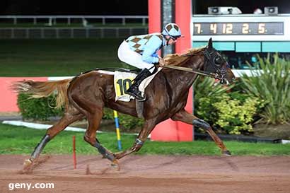 19/10/2023 - Enghien - Prix de la Muette : Arrivée