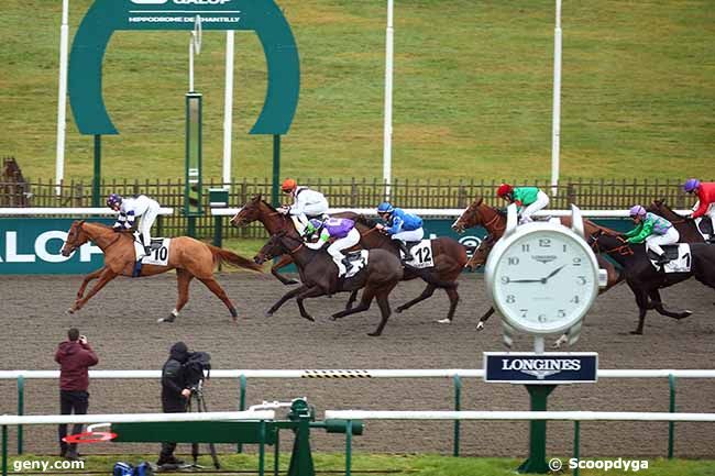 09/12/2023 - Chantilly - Prix du Terrain de Manoeuvre : Arrivée