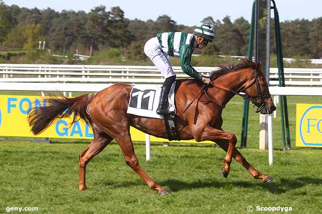 13/04/2024 - Fontainebleau - Prix des Pins : Arrivée