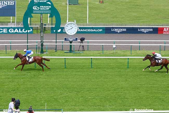 17/05/2024 - Chantilly - Prix du Plessis-Pommeraye : Arrivée