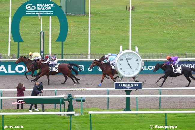 15/10/2024 - Chantilly - Prix de Senlis : Arrivée