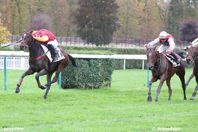 21/10/2024 - Compiègne - Prix de Coye : Arrivée