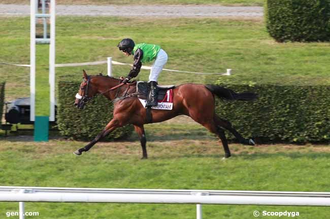 11/08/2025 - Clairefontaine-Deauville - Prix Merci Jean Picard (Prix Rigoureux) : Arrivée
