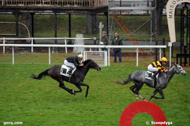 14/11/2008 - Maisons-Laffitte - Prix de Saint-Arnoult en Yvelines : Result