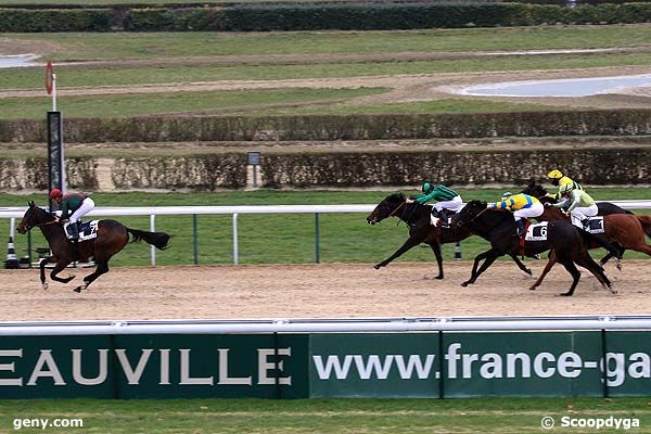 31/12/2010 - Deauville - Prix Habitat : Arrivée