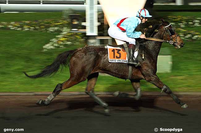 11/11/2011 - Vincennes - Prix Gienah : Ankunft