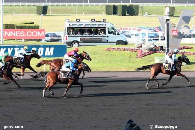 17/02/2013 - Vincennes - Prix du Pontavice de Heussey : Ankunft