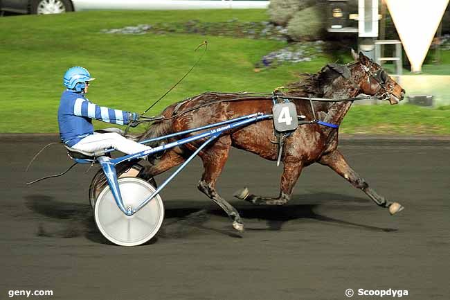 19/11/2013 - Vincennes - Prix Circinus : Arrivée