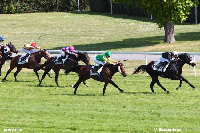 14/04/2014 - Maisons-Laffitte - Prix les Alluets le Roi : Arrivée