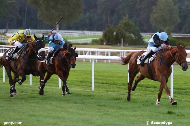 29/09/2016 - Fontainebleau - Prix www.courseschevaux.fr : Result