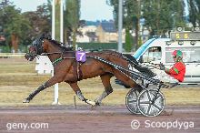01/07/2025 - Vichy - Prix d'Usson: Ankunft
