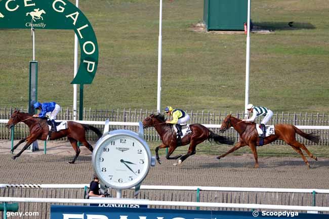 16/10/2018 - Chantilly - Prix de Montlévêque : Arrivée