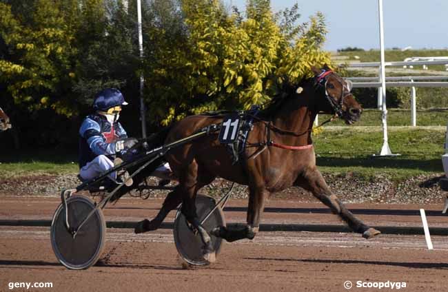 05/02/2019 - Cagnes-sur-Mer - Prix des Boutons d'Or : Arrivée