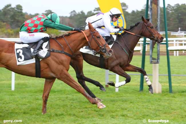 16/11/2021 - Fontainebleau - Prix Gautier de la Selle : Arrivée