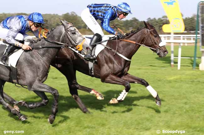 11/10/2022 - Fontainebleau - Prix des Genêts : Arrivée