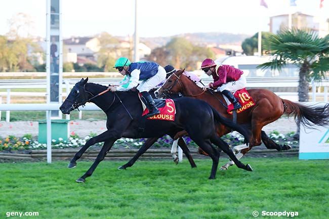 11/11/2022 - Toulouse - Prix de la République du Sénégal : Arrivée