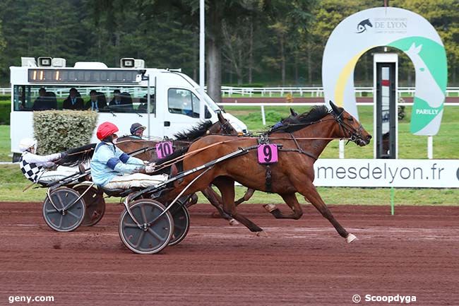 12/04/2023 - Lyon-Parilly - Prix Reverdy-Nutrition Equine - Prix de Strasbourg : Arrivée