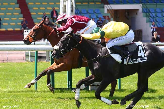 30/05/2023 - Compiègne - Prix Galafron : Arrivée