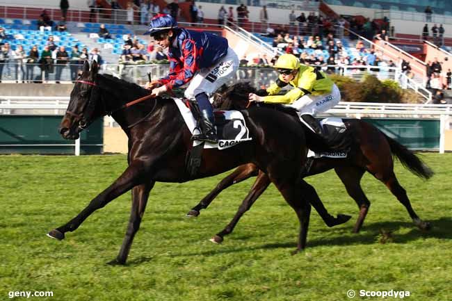 29/01/2024 - Cagnes-sur-Mer - Prix de la Promenade des Anglais : Arrivée