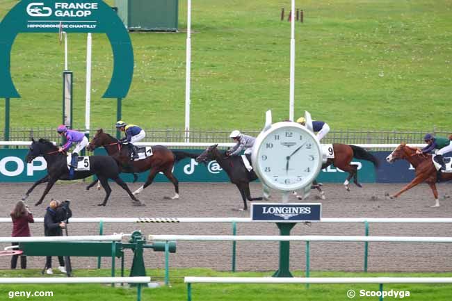 15/10/2024 - Chantilly - Prix du Chêne de la Basse Pommeraie : Arrivée