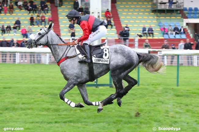 21/10/2024 - Compiègne - Prix Bulan : Arrivée