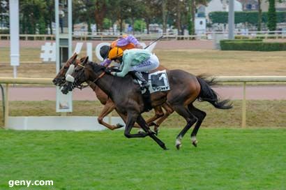 14/07/2025 - Vichy - Prix de Villeneuve-sur-Allier : Arrivée