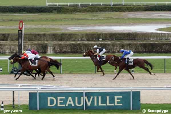 05/01/2008 - Deauville - Prix du Tercey : Result