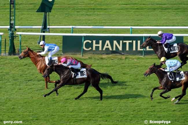 18/09/2008 - Chantilly - Prix de Charlemont : Ankunft