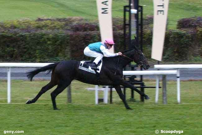 15/10/2008 - Maisons-Laffitte - Prix Finasseur : Arrivée