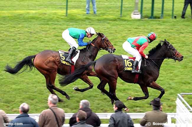 03/11/2010 - Compiègne - Prix de Grandfresnoy : Arrivée