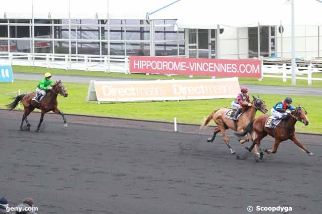 28/01/2013 - Vincennes - Prix d'Auffay : Arrivée