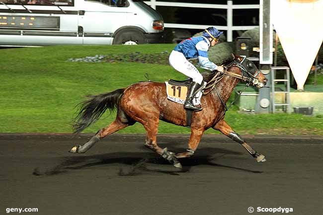 19/11/2013 - Vincennes - Prix Thisbe : Arrivée