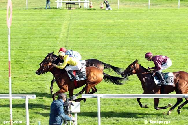 25/09/2014 - Maisons-Laffitte - Prix du Parc de Maisons-Laffitte : Arrivée