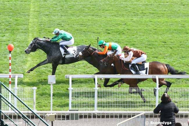 01/04/2016 - Maisons-Laffitte - Prix les Alluets-le-Roi : Ankunft