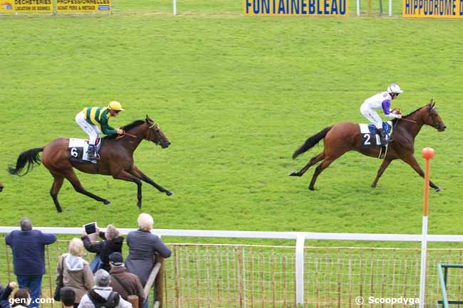 19/05/2016 - Fontainebleau - Prix de la Grotte aux Cristaux : Result